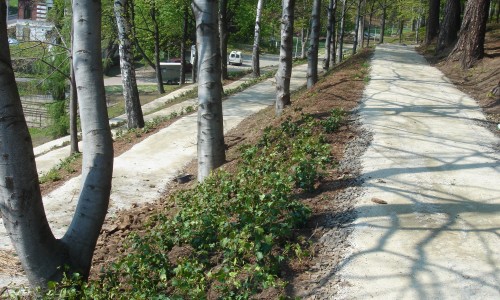 DSC09203